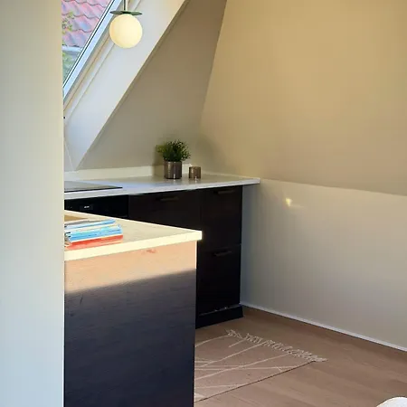 公寓 Cozy Loft In The Heart Of 卑爾根